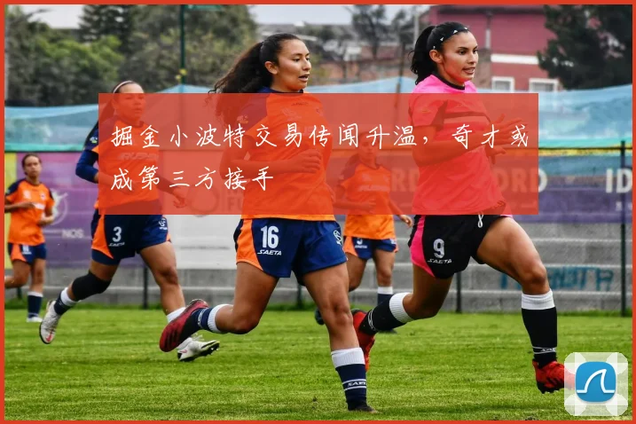 掘金小波特交易传闻升温，奇才或成第三方接手